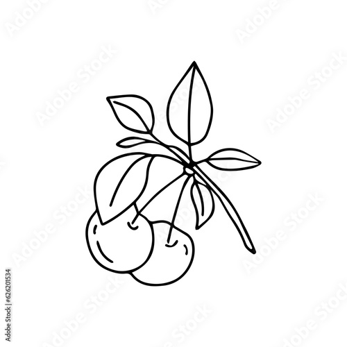 Hand drawn vector illustration cherry.