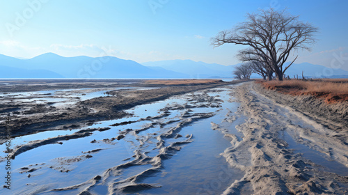 The harsh barrenness of a salt flat  extending towards a hazy horizon where it meets the sea.