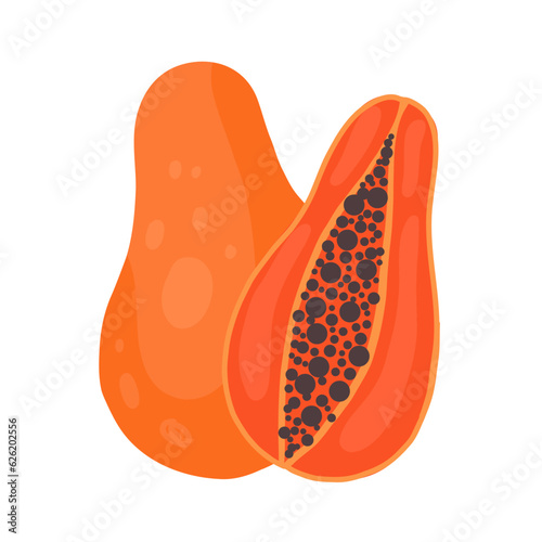 Vector clipart papaya on white background. Hand drawn flat fruit. Juicy tropical food. Illustration