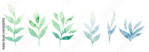 Vector set of green watercolor silhouettes of branches with foliage isolated from background. Colorful herbal collection