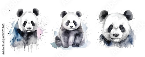 Panda watercolor paint collection