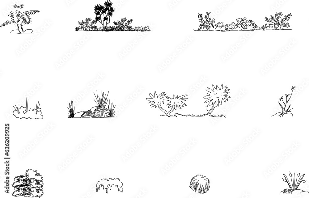 Vector sketch detailed silhouette illustration of wild bush plant in urban forest park Vector sketch detailed silhouette illustration of wild bush plant in urban forest park