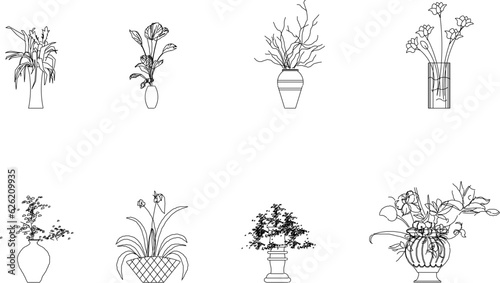Vector sketch of detailed silhouette illustration of a potted ornamental plant for decoration in the garden and in the house