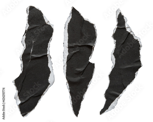 Fototapeta Pieces of torn black paper in animal claw shape