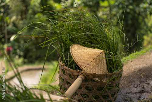 Close up shot of balinese hat in wooden basket. Equipment for working in rice plantation