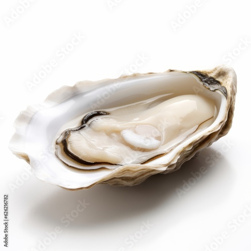 An open oyster shell on a white background