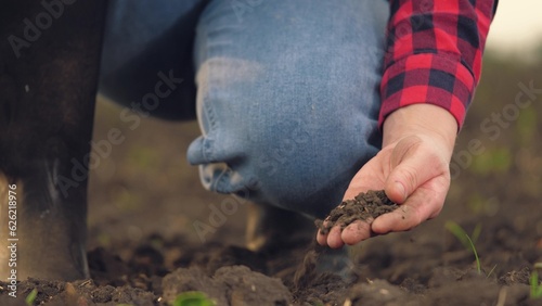 farmer working in tablet, hand holding earth soil soil, agriculture business, sprout green field farm, checking field farming soil sunset handful worker touching sunlight twigs nature quality side