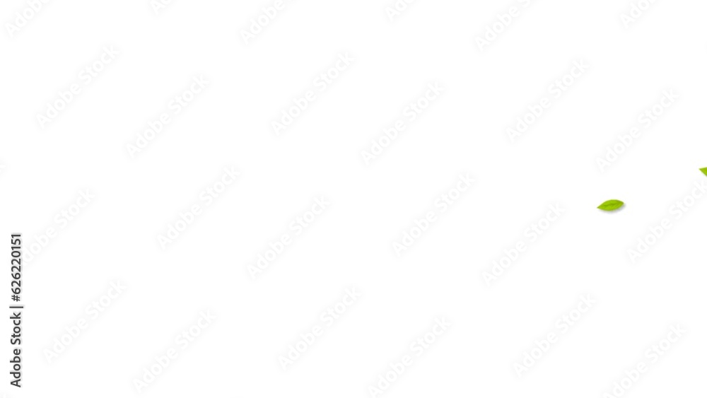 flying leaves background and 2d animation