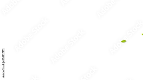 flying leaves background and 2d animation