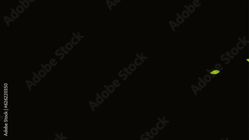 flying leaves background and 2d animation