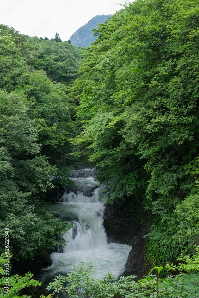 滝 滝