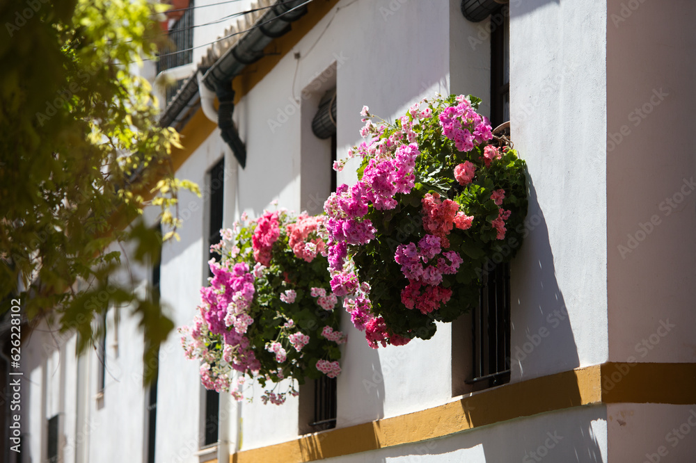 Balcony with planter of geraniums and seasonal flowers. Typical house of southern spain in andalusia.