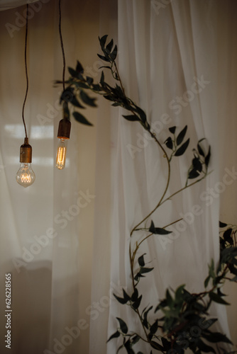 Boho style, wedding decor, decorative light bulbs on a rope, front view. photo