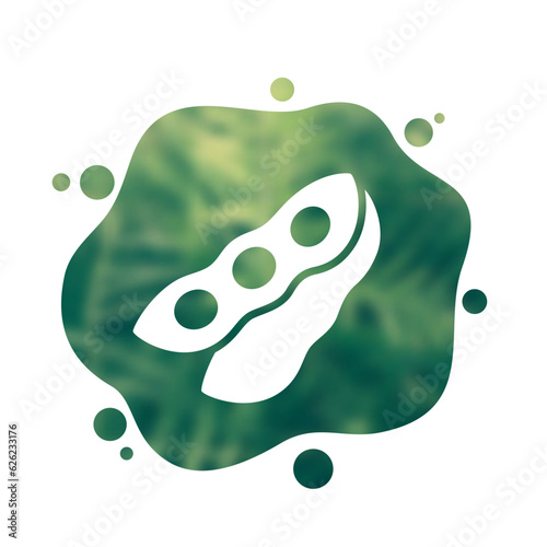 soybeans icon, soy beans vector