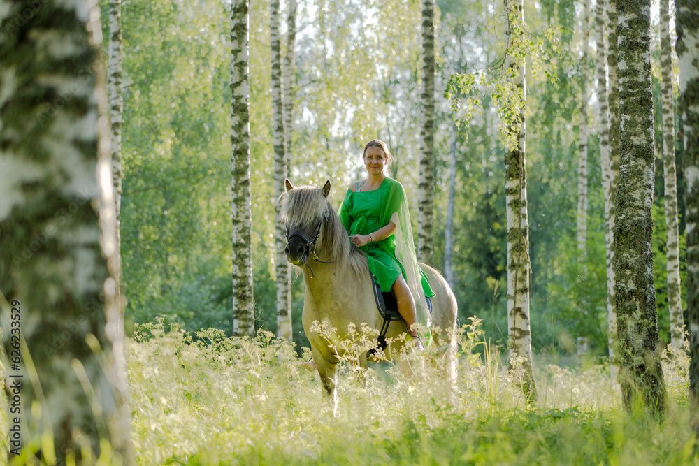 Barefoot woman rider on Icelandic horse in sunny Finnish brirch  forest during sunset. Fairytale like feeling.