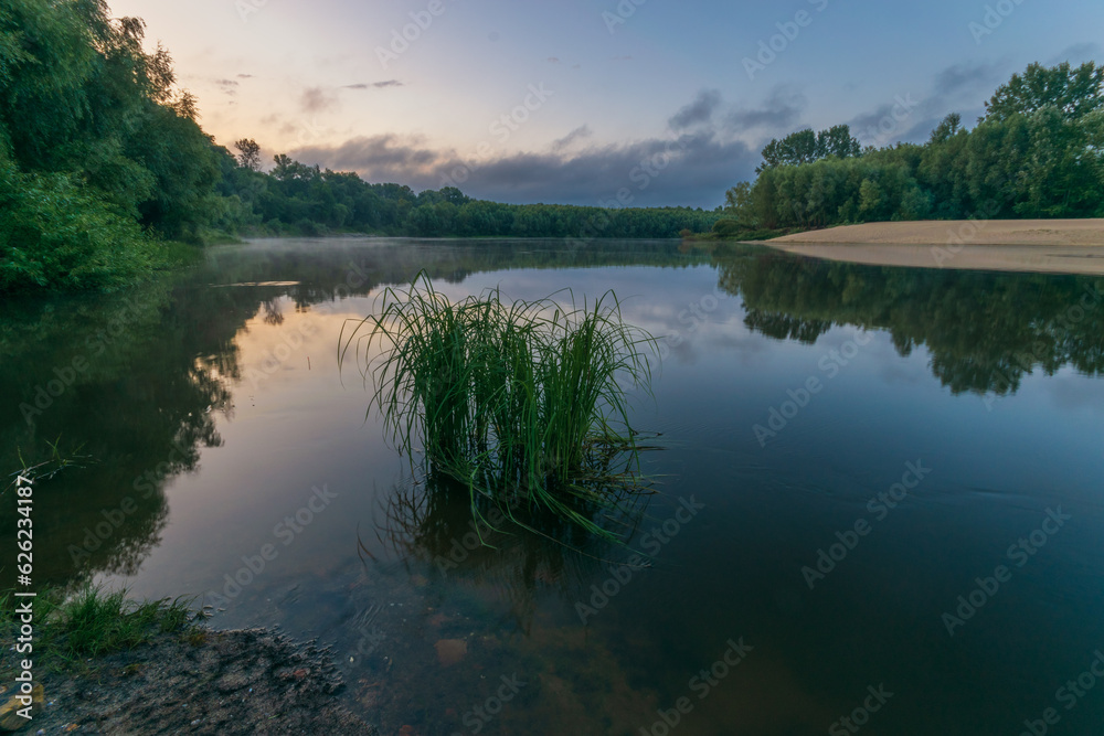 reflection of trees in the lake