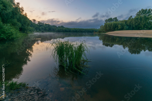 reflection of trees in the lake © Александр Арендарь