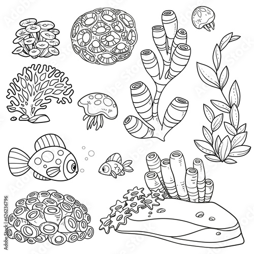 Anemones, corals, fishes, jellyfishes, sand stones and sponges set coloring book linear drawing isolated on white background