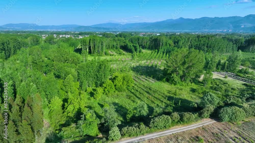 Aerial view from a drone in the surroundings of the Cúa River and the Monastery of Santa María de Carracedo. Municipality of Carracedelo. The Bierzo. Lion. Castile and Leon. Spain. Europe Aerial view from a drone in the surroundings of the Cúa River and the Monastery of Santa María de Carracedo. Municipality of Carracedelo. The Bierzo. Lion. Castile and Leon. Spain. Europe