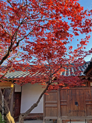                                               Baekinje House Cultural Festival in Bukchon Hanok Village