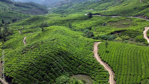 Beautiful green landscape Aerial View Of Munnar Tea Plantations, Kerala, South India