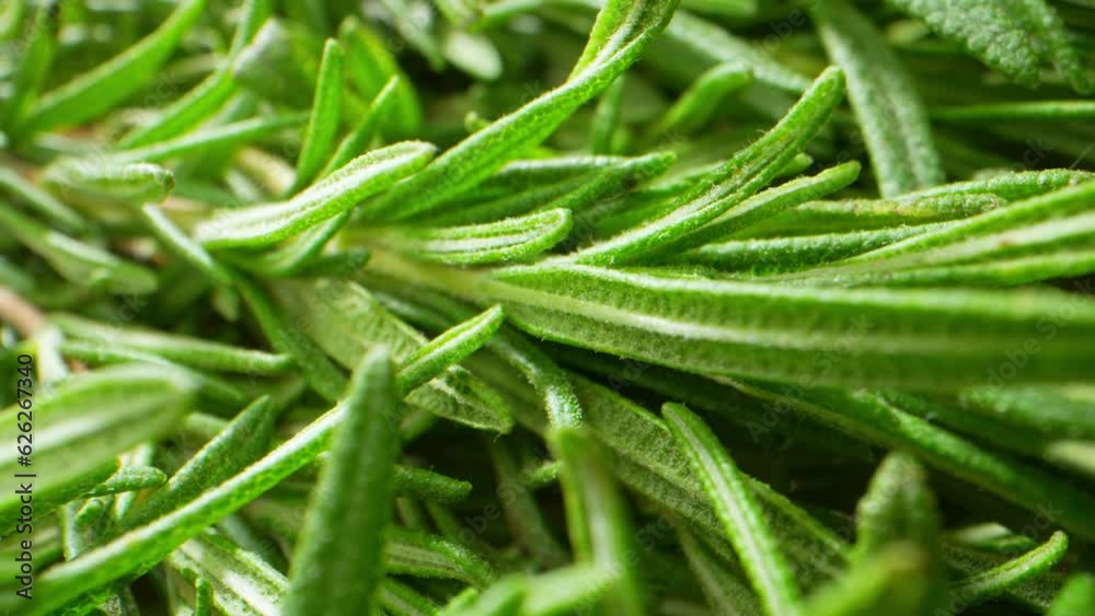 In this captivating macro video, explore the enchanting world of Rosemary as it elegantly dances and adds its aromatic charm to delectable dishes. Food and herb concept. Rosemary background
In this captivating macro video, explore the enchanting world of Rosemary as it elegantly dances and adds its aromatic charm to delectable dishes. Food and herb concept. Rosemary background