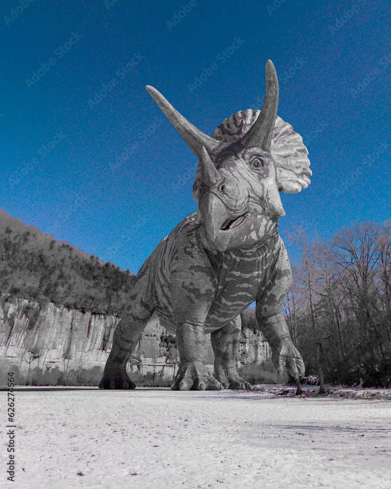 triceratops is walking in winter times