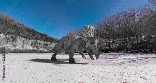 Fototapeta Naklejka Na Ścianę i Meble -  triceratops is walking alone in winter times