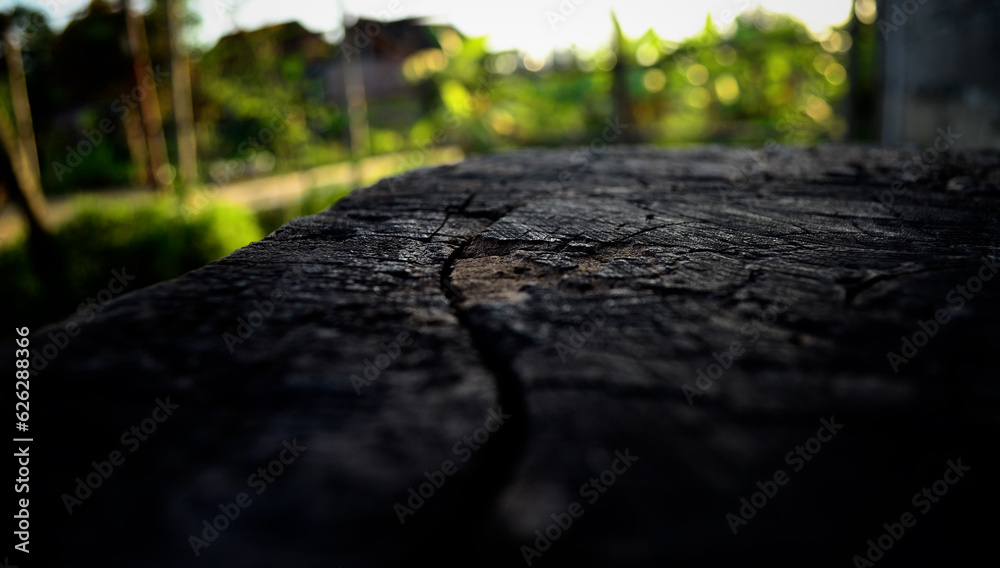 very beautiful old wood photo background for wallpaper very beautiful old wood photo background for wallpaper