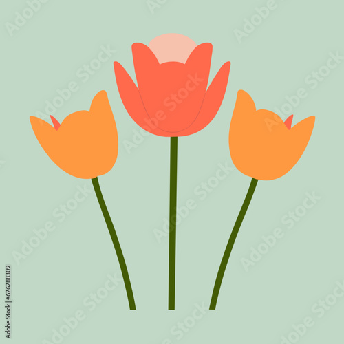 bouquet of tulips