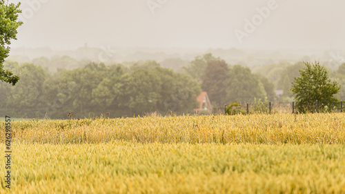 Ein Blick über die Felder im Regen.