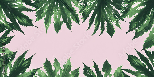 Explore the allure of summer with this vibrant design of jungle exotic leaves on a colorful background, with a captivating Blank space for text.