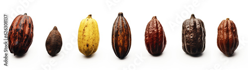 Banner with set of cacao nuts on isolated white background. Generative AI