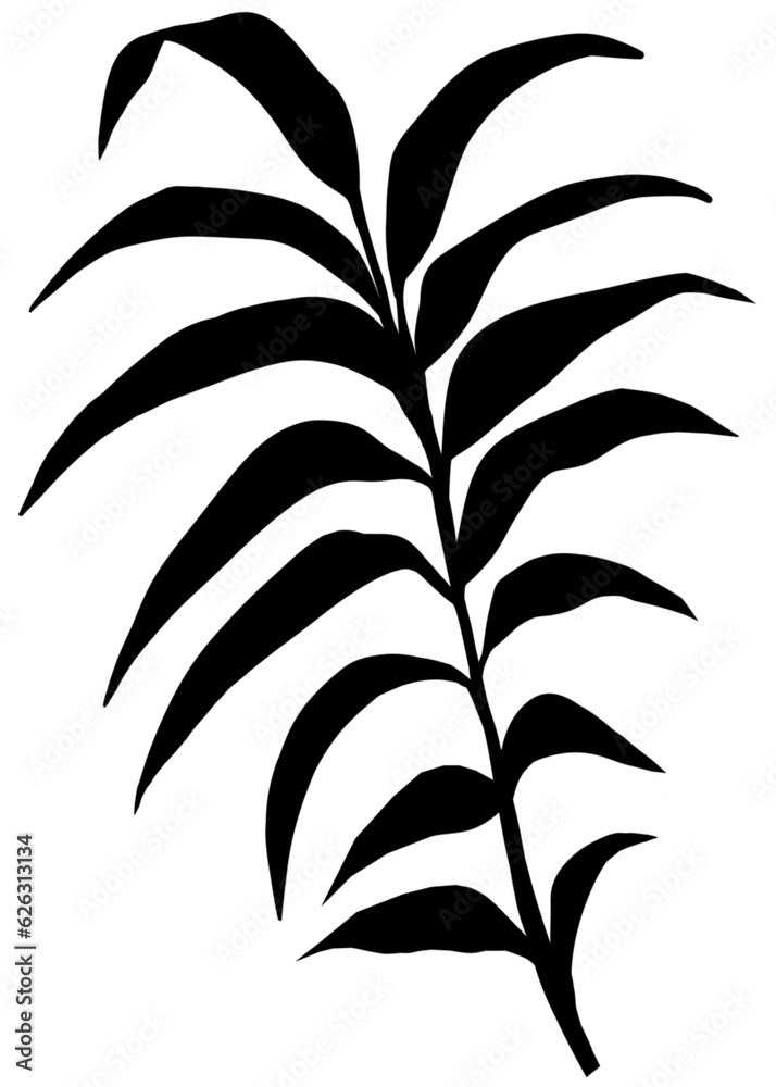 Leaves shadow effect overlay, isolated Branches leave silhouette Leaves shadow effect overlay, isolated Branches leave silhouette