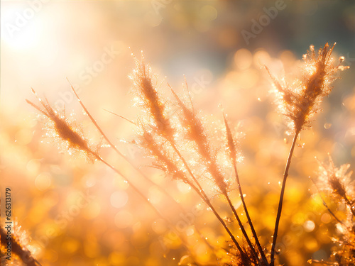 Field in sunlight. AI