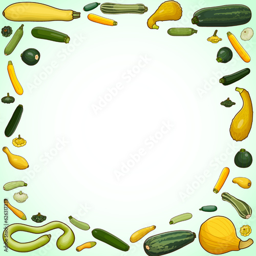 Square banner with different types of summer squash. Cucurbita. Cucurbitaceae. Fruits and vegetables. Isolated vector illustration. Template. Cartoon style.