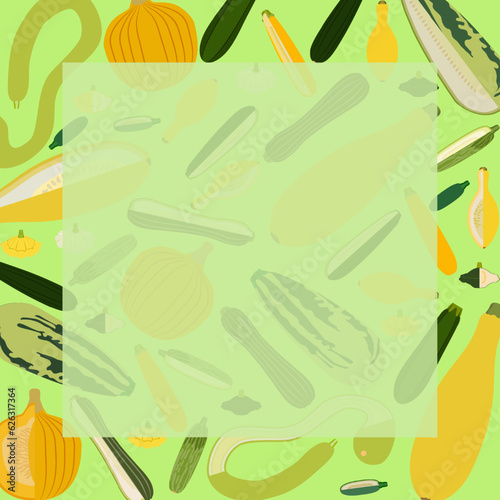Square banner with different types of summer squash. Cucurbita. Cucurbitaceae. Fruits and vegetables. Isolated vector illustration. Template. Cartoon style. Flat style.