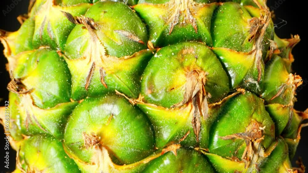 In this captivating macro video featuring a probe lens, explore the intricate details of a whole pineapple as it reveals a mesmerizing world of golden-hued textured skin, luscious succulent flesh,
