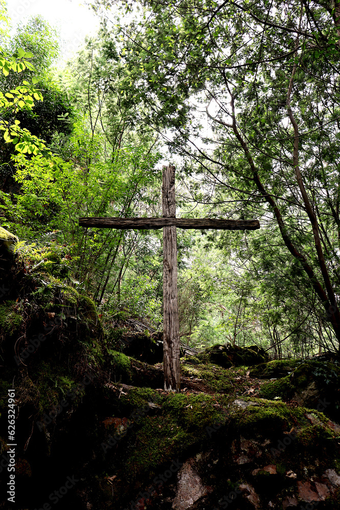 Christian wooden cross, amidst trees, vegetation, and moss-covered stones. Stations of the Cross at Sanctuary of Nossa Senhora da Piedade, Lousã, Portugal. Christian wooden cross, amidst trees, vegetation, and moss-covered stones. Stations of the Cross at Sanctuary of Nossa Senhora da Piedade, Lousã, Portugal.