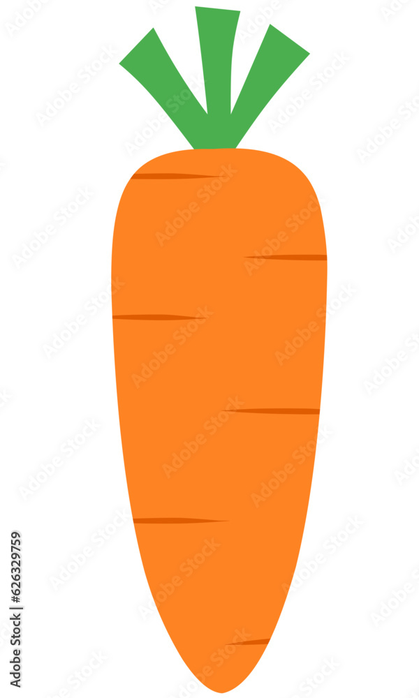 Carrot Flat Set