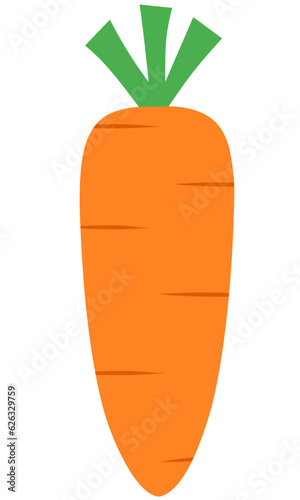 Carrot Flat Set