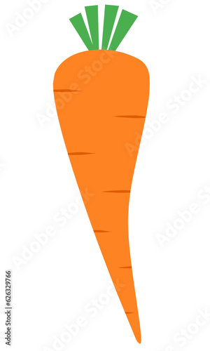 Carrot Flat Set