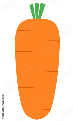 Carrot Flat Set