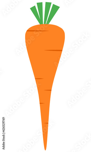 Carrot Flat Set