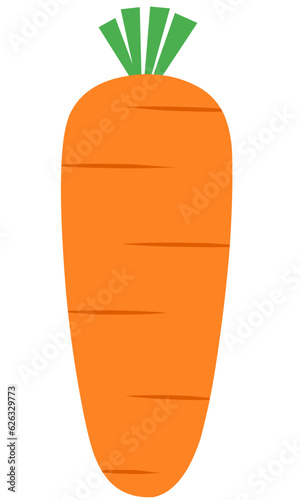 Carrot Flat Set