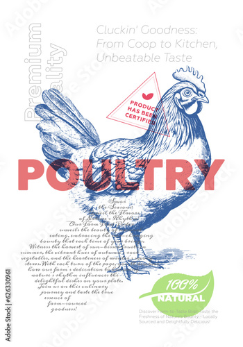 Poultry shop advertising poster with vintage chicken sketch. Butchery market retro print. Butcher label creative typography template. Natural farm meat product placard engraving hen hand drawn artwork