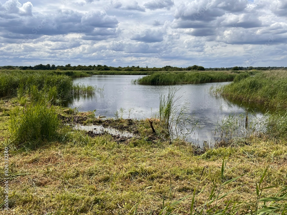 Beautiful landscape of reflection of reeds and clouds in the water of the river at nature reserve on Norfolk Broads East Anglia with grass and trees and cloudy sky over scene in Summer day light Beautiful landscape of reflection of reeds and clouds in the water of the river at nature reserve on Norfolk Broads East Anglia with grass and trees and cloudy sky over scene in Summer day light