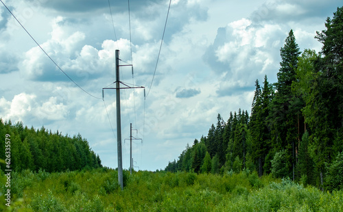 power poles in the forest on a cloudy day, backgrounds