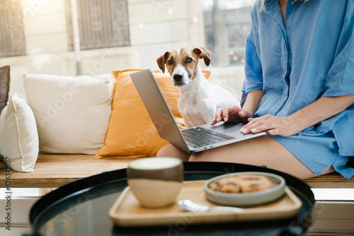 Searching internet laptop sitting in cafe with her small dog Jack Russell terrier. Remote work or study with pet friendly coworking space.  © Iryna&Maya