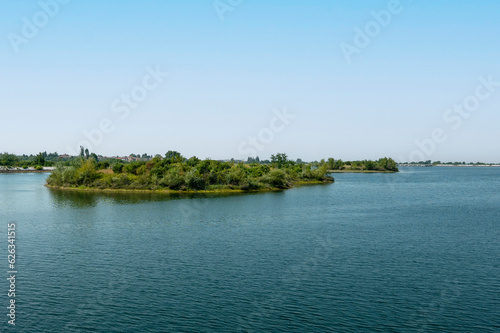 scenic view of a green islet in the lake